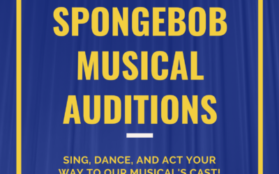StudioWorks Academy Auditions Now open!